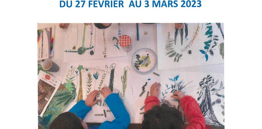 Stages Fevrier 2023